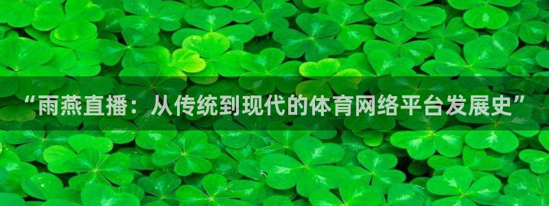 山猫体育直播在线观看：“雨燕直播：从传统到现代的体育网络平台发展史”