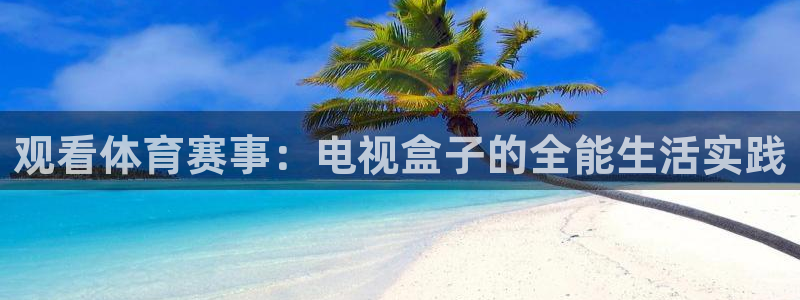 山猫足球直播免费观看：观看体育赛事：电视盒子的全能生活实践