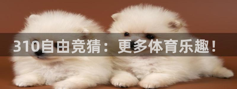 山猫体育在线直播：310自由竞猜：更多体育乐趣！