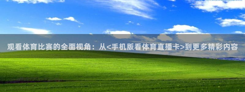 山猫体育足球直播免费观看：观看体育比赛的全面视角：从<手机版看体育直播卡>到更多精彩内容