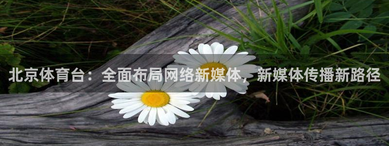 山猫nba在线直播：北京体育台：全面布局网络新媒体，新媒体传播新路径