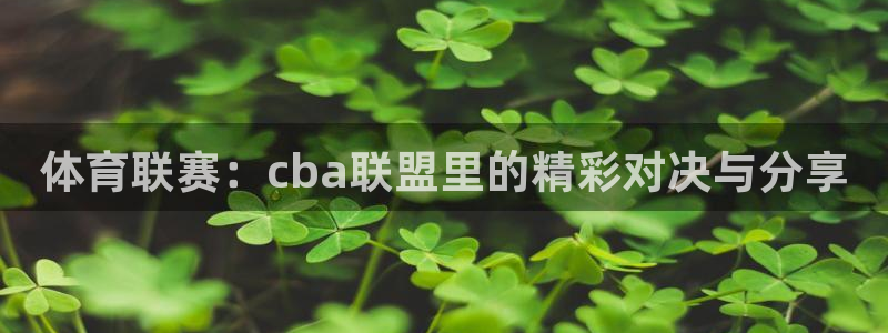 足球山猫直播：体育联赛：cba联盟里的精彩对决与分享