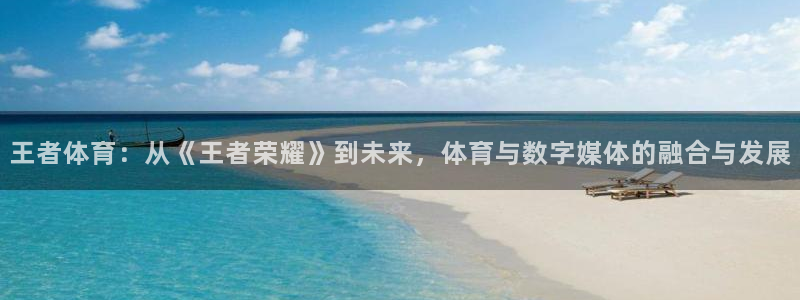 山猫直播足球免费观看高清版：王者体育：从《王者荣耀》到未来，体育与数字媒体的融合与发展