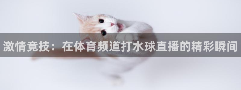 山猫直播：激情竞技：在体育频道打水球直播的精彩瞬间